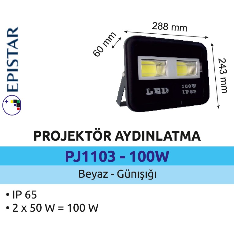 PJD1103-100W.jpg (71 KB)