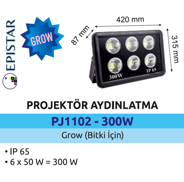 PJG1102-300W.jpg (84 KB)