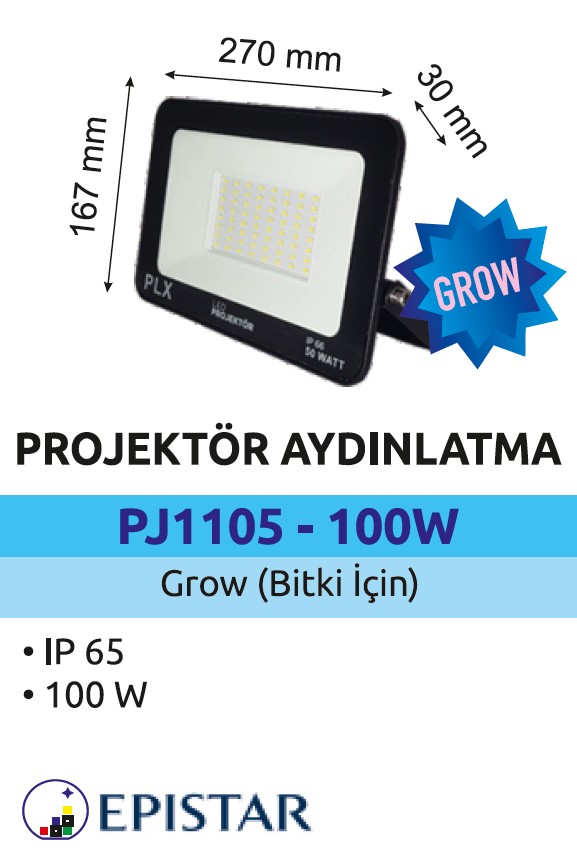 PJG1105-100W.jpg (73 KB)