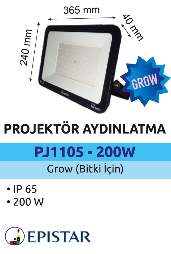 PJG1105-200W.jpg (75 KB)